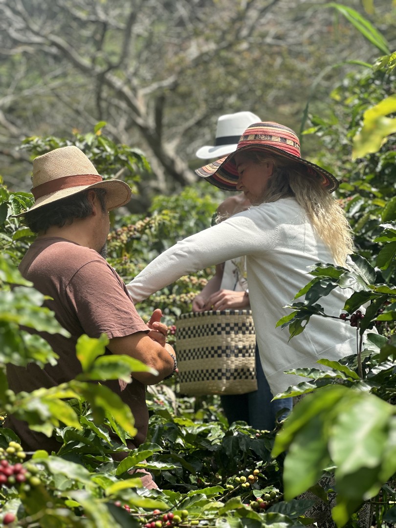 Tour del Café Aroma de Mis Montañas en Barbosa